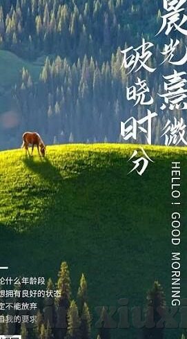 91制片厂传媒和麻豆-探寻91制片厂传媒与麻豆的独特魅力