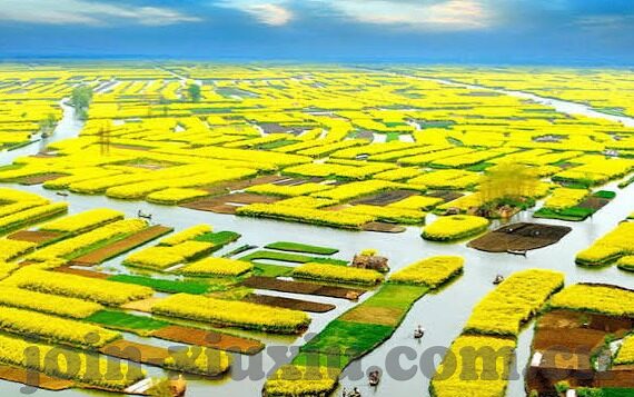 成人在线视频4438x-成人在线视频的利弊与理性审视