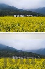 国产麻豆剧传媒app下载-探索国产麻豆剧传媒APP的魅力，一部剧集的深度体验与多元化娱乐新视角