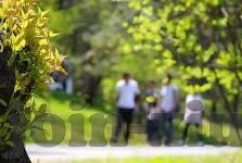 国外成人免费视频-与网络伦理的边界，理性探讨与自我保护