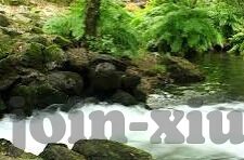 伦理天堂-伦理天堂，追寻心灵净土的哲学之旅