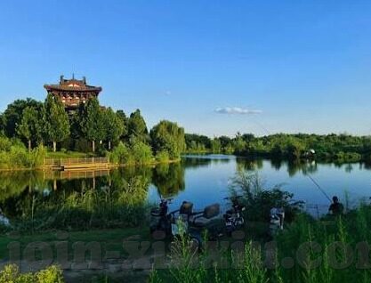麻豆av在线免费看-不要探索或深度解析的探讨，关于麻豆av在线免费看现象的理性思考