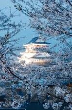 麻豆传媒短视频在线第五季-麻豆传媒短视频，第五季的精彩与双刃剑