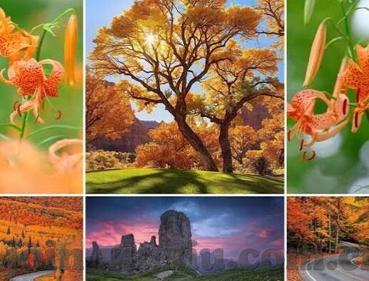 糖心app黄旧版-尊重网络环境，共同维护绿色空间——对糖心APP黄旧版现象的反思