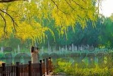 糖心app会员是真的吗-揭秘真相，糖心APP会员服务是否真实可靠
